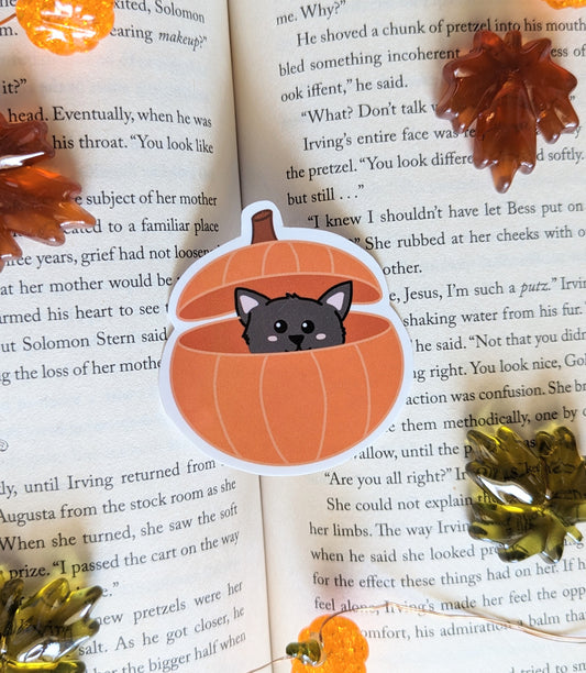 Pumpkin Cat - sticker